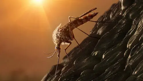 where to watch Jurassic World Dominion (2022) online